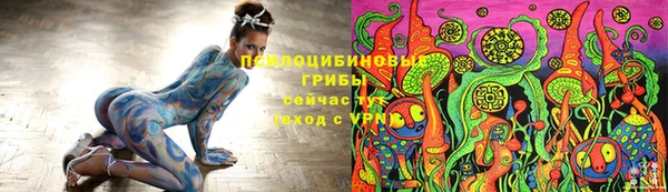 spice Абинск