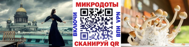 hydra ссылка  Богородицк  Галлюциногенные грибы Psilocybe 