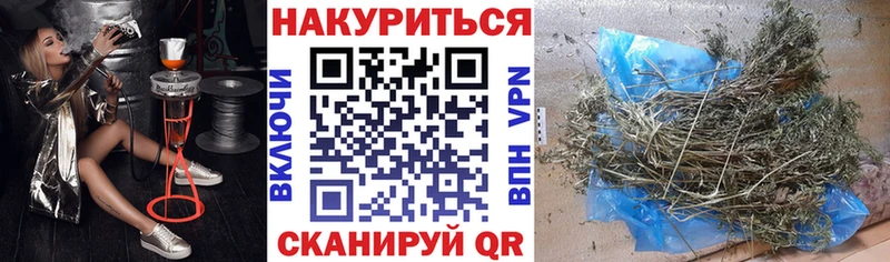Бошки Шишки сатива  где купить наркоту  Богородицк 